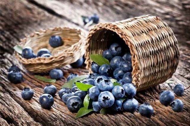 Yabanmersini   <br><br>  Yabanmersini kalorisi en dk meyvelerden biri. Ayn zamanda baz aratrmalarda karn yalarn azaltmaya yardmc olduu grlm. Bunun sebebinin yabanmersinindeki antioksidan bir maddenin inflamasyonu ve stres hormonu seviyesini drmesi olduu tahmin ediliyor. 