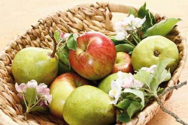 Elma ve armut   <br><br>  Bu iki meyvede bulunan flavonoid ad verilen maddeler ya hcreleriyle adeta savayor. nk bu madde vcutta harcanan enerjiyi, kaslardaki glikoz tketimini ve ya yakmn artryor. Gnde 1 adet muhakkak tketmeye aln. 