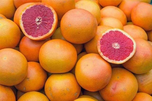 Kan portakal   <br><br>  Turungiller arasnda C vitamini asndan en zengin olan meyve kan portakal. C vitamini de kandaki stres hormonu kortizol kontrol altna alyor. Peki bunun yala ilgisi ne? Kortizol yksek olduunda vcudunuzda zellikle karn ksmnda ya depolanmasna neden oluyor. 