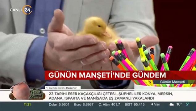 te star.com.tr Takm Lideri M. Cihat Aa'n olu Muhammed'in sevimli rdei ve stdyo maceras.  