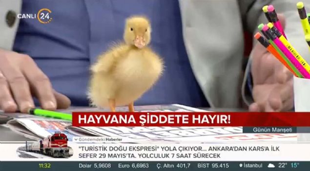 24 TV ekranlarndan bir kez daha 'Hayvana iddete Hayr!' dendi.      