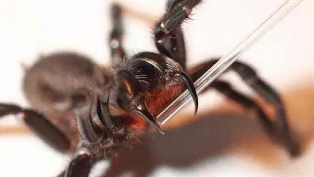 te doann esiz ve rktc birbirinden artc o anlar...  <br><br>  Dilerini gsterern lmcl Funnel rmcei 