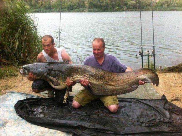 Sosyal medya kullan�c�lar� taraf�ndan en �ok be�enilen ve payla��lan foto�raflar� sizler i�in derledik... 