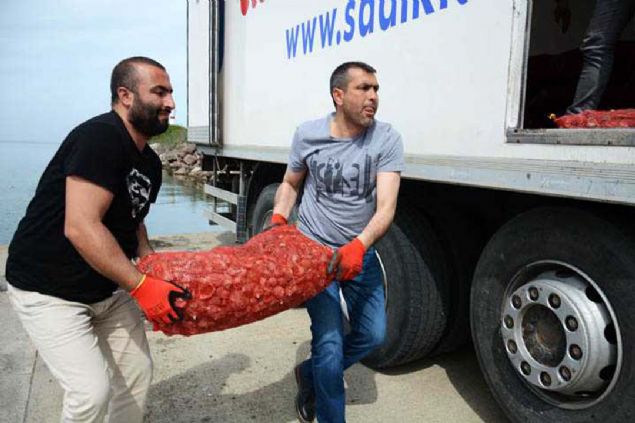 Karaka, salyangozun iyi bir alternatif olduunu ifade ederek, balklarn talepten memnun olduunu szlerine ekledi. 