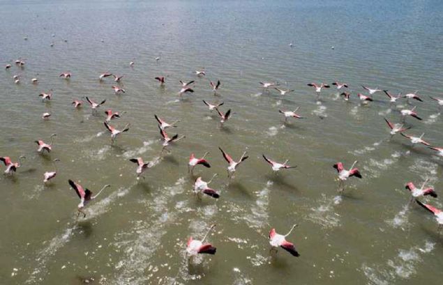 Do�a Koruma ve Milli Parklar Genel M�d�r� Yusuf Kandazo�lu, AA muhabirine yapt��� a��klamada,  