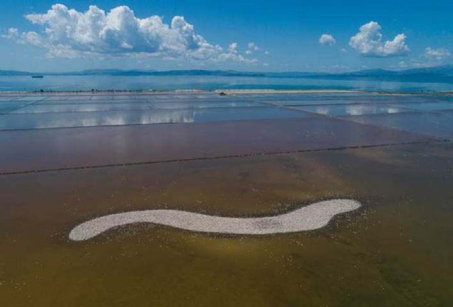 D�nyan�n en b�y�k yapay kulu�ka adas� olarak g�sterilen b�lge �u anda yavrulama d�nemine ge�en flamingolar� misafir ediyor. 