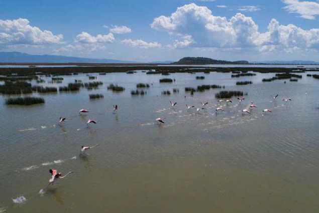 'Bunlardan biri �� Anadolu B�lgesi'ndeki Tuz G�l�, di�eri ise �zmir Ku� Cenneti... 