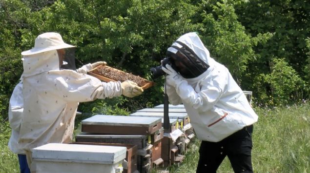 Bizim tek �art�m�z var o da gelen misafirlerin bizlerle birlikte �al��mas�.    