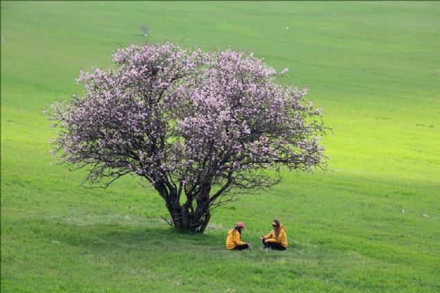 te bu hafta yaananlar...   