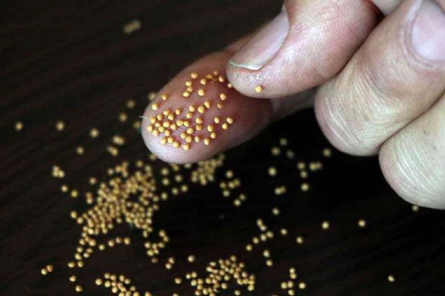 'Sabr ve akla gece gndz bu ile urayorum.' ifadesini kullanan Korkmaz, unlar kaydetti: 