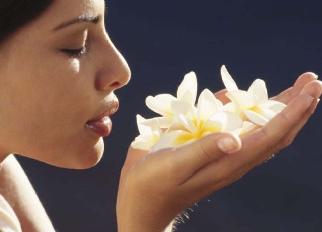 -iek, kolonya veya parfm koklamak    