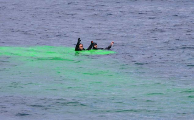 Azerbaycan, Filistin, Japonya, Kuveyt, KKTC, Kore, Kosova ve Pakistan'a olmak zere toplam 8 lkeden 16's yabanc olmak zere 66 gzlemci yer ald.   