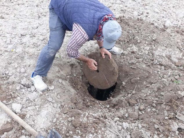 Edinilen bilgilere g�re, Ac�g�l il�esine ba�l� Tatlarin kasabas�nda bir vatanda� tarlas�n� s�rerken bir k�pe rastlad�. 