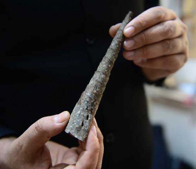 Kaya, atlyesinde artk yaygn olmayanlarn da aralarnda bulunduu 200'e yakn enstrman olduunu belirterek, evinde mze gibi bir alan oluturmak istediini szlerine ekledi.     