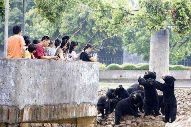 te in'in gnlk yaamndan objektiflere yansyan birbirinden ilgin ve artc kareler...  