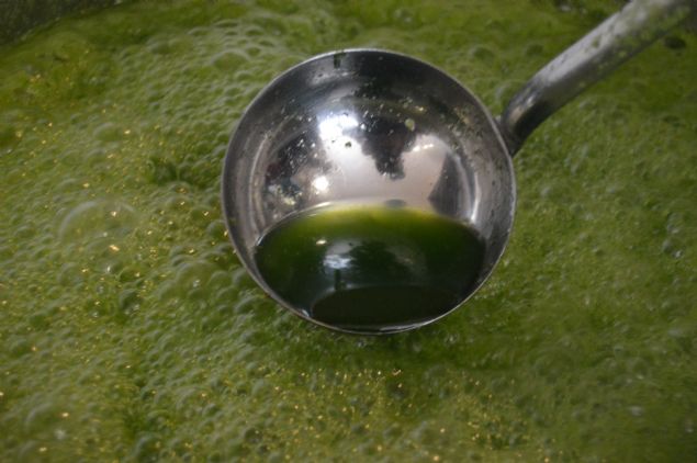 <p style='box-sizing: border-box; margin: 0px 0px 10px; padding: 0px; border: 0px; list-style-type: none; color: rgb(51, 51, 51); font-family: "Roboto Condensed"; font-size: 19px;'> Müşterilerinin "yeşil bomba" ismini verdiği tatlıyı da ramazan ayına özel yaptıklarını belirten Polat, kısa sürede yoğun ilgi görmesi üzerine patenti için gerekli girişimlerde bulunduklarını anlattı.</p> <div> </div>