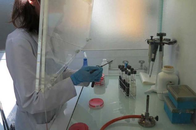 Oksijen eksikli�inin n�ronlar� d���n�ld��� kadar h�zl� �ld�rmedi�ine dair ipu�lar�n� uzun zamand�r g�r�yorduk. Daha �nceki varsay�mda beyin h�crelerinin, oksijen temas� kesildikten sonra dakikalar i�inde �ld��� �ne s�r�l�yordu. �al��ma ile birlikte bu s�recin asl�nda saatler alabildi�i ortaya ��km�� oldu. 