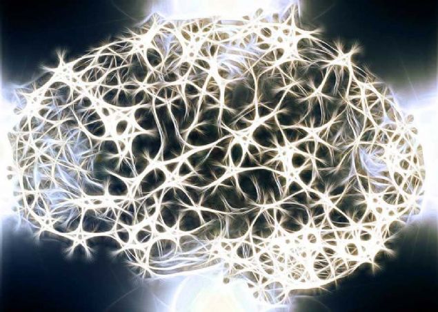 Yapt�klar� incelemelerde, domuzlar�n beyinlerinde �l�mden d�rt saat sonra bile gizli aktiviteler oldu�unu ke�fettiler. 