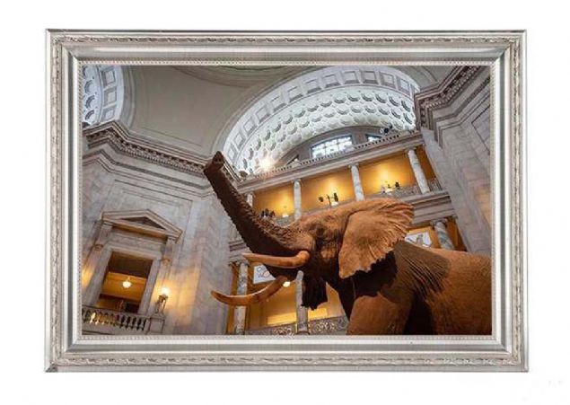 Smithsonian National Museum of Natural History, Amerika   <br><br>  Mze, ierisinde 145 milyon rnek ve eser barndryor. Sergilenen her ey uzayda ve zamanda bir 'an' yanstyor.  <br><br>  Aratrmaclar bu nesneler zerinden kritik bilgiler toplamaya devam ediyor.  <br><br>  Gemile ilgili bu keifler gelecei modellememize ve tahmin etmemize yardmc oluyor.           