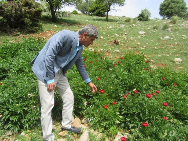 burayla ilgili AK ile de ibirlii yaparak, ciddi bir proje yrtyor. Biz de bu almalar destekliyoruz. Her trl bu koruma projesine destek vermeye hazrz' diye konutu. 