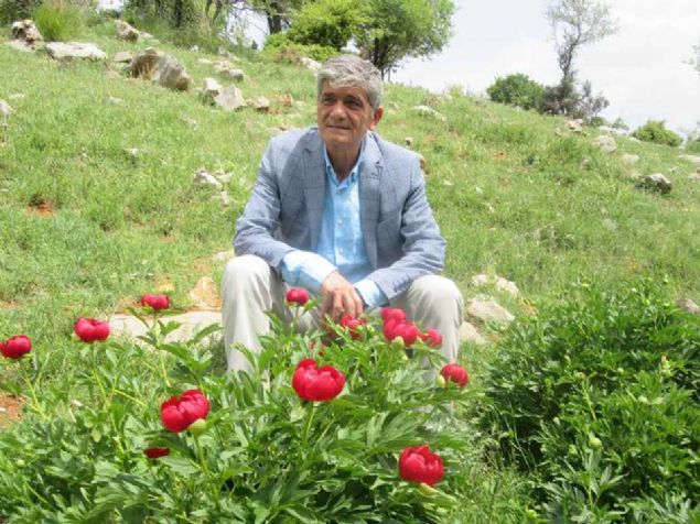 'SADECE BU BLGEDE YETYOR'  <br><br>  Kzlren Belediye Bakan Ali Erol, 'Ay gl, Afyonkarahisar'da sadece bu blgede yetiiyor. ieklerin amas ile birlikte vadi boyunca ok gzel bir doa grnts oluuyor. iekleri fotoraflamak iin doa fotoraflarn davet ediyoruz' dedi.  