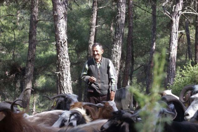 Hayvanlarmn bazlarn da kurbanlk olarak satyorum. Burada daha yeni gne enerjisi paneli aldm, onunla elektrik ihtiyacm karlyorum' dedi. 