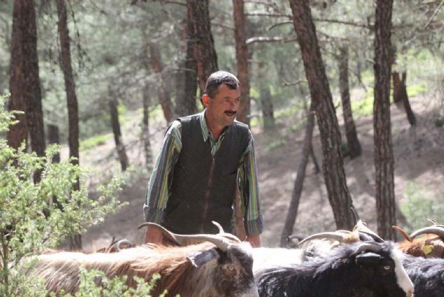 32 yldr dalarda ormanlarn iinde hayvan gderek kulbede yaadn ifade eden Hseyin Takn, 'nsanlardan uzak dalarda obanlk yaparak yaamak daha ok houma gidiyor... 