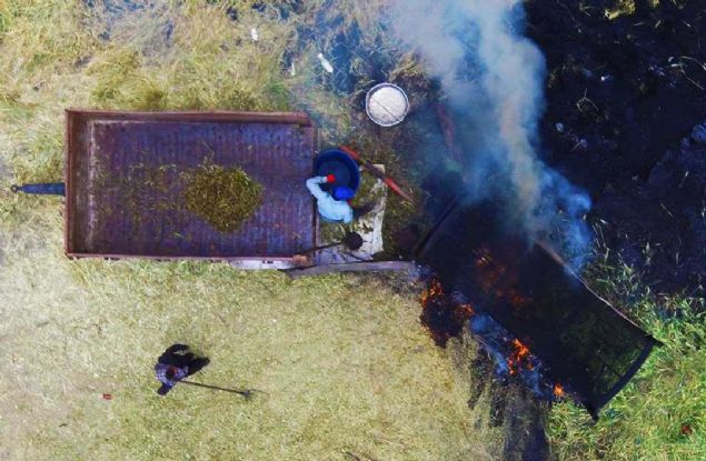 Makine yardmyla budaylarn taze baak ksmlar sklerek ilk ilemi yaplan firik, daha sonra emberi andran metal aparatlarda el yordamyla evrilerek odun ateinde tlyor. 