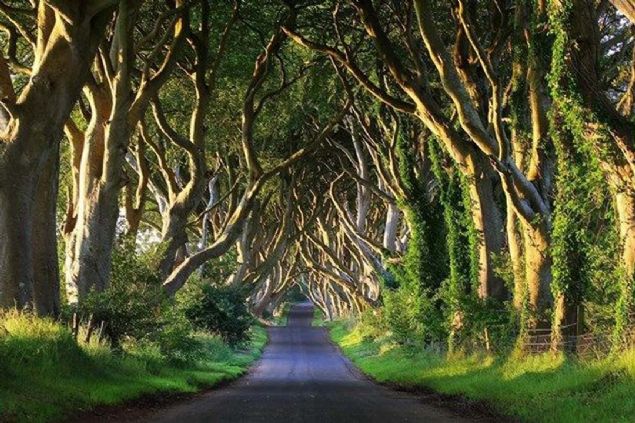 En dikkat ekicileri arasnda Krallarn Yolu sahnelerinin ekildii aal yol Dark Hedges ve Castle Black'e ev sahiplii yapan, normalde yalnzca 75 kiinin yaad minicik bir yerleim olan Loch Larne bulunuyor.  <br><br>  Stark Hanesi'nin karanlk ve souk kralln ziyaret etmeniz iin dzenlenen bir gnlk Game of Thrones turlarnn creti ise 39 dolar. 