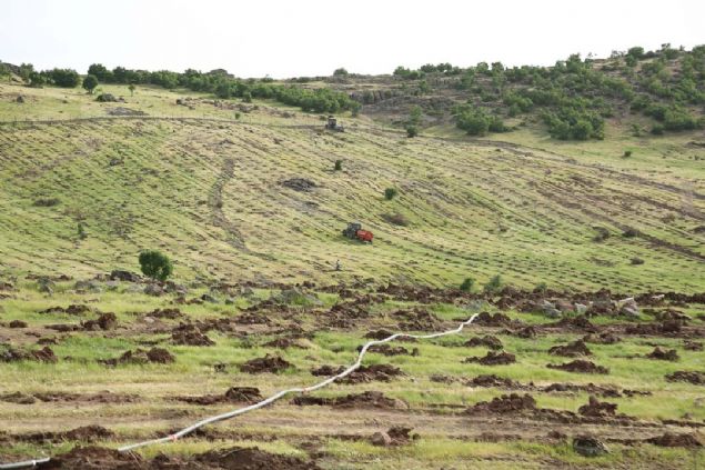 2018 yl sonu itibariyle 7 bin dnm bulmu vaziyette. retilen rn miktar da 15 tondan 450 tona ulam durumda...  