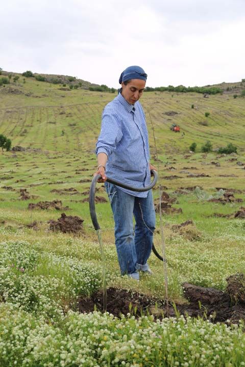 O da Trkiye'nin en byk kapama dut bahesi olacak. Buradaki retim Trkiye'nin koza retiminin yzde 8'ine tekabl edecek' diye konutu.      