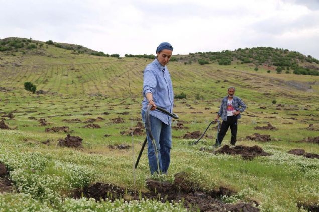 'Burada bir bayan reticimizle birlikte Hozat'ta ipek bcekilii zerine bir alma ierisine girdik. u anda Hozat Akpnar kynde Trkiye'nin en byk ipek bcekilii dut bahesini oluturduk... 