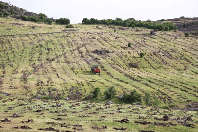 Yapay kokulardan etkilenmesin diye bahe dalk alana kuruldu  <br><br>  Baheyi steril bir ortam salamak adna dalk alana yaptklarna deinen Kankotan, 'nk ipek bcekleri sigara, parfm kokusu da dahil btn yapay kokulardan etkilenen canl. O nedenle tarm ilalarndan, egzozdan uzak bir alan belirledik...      