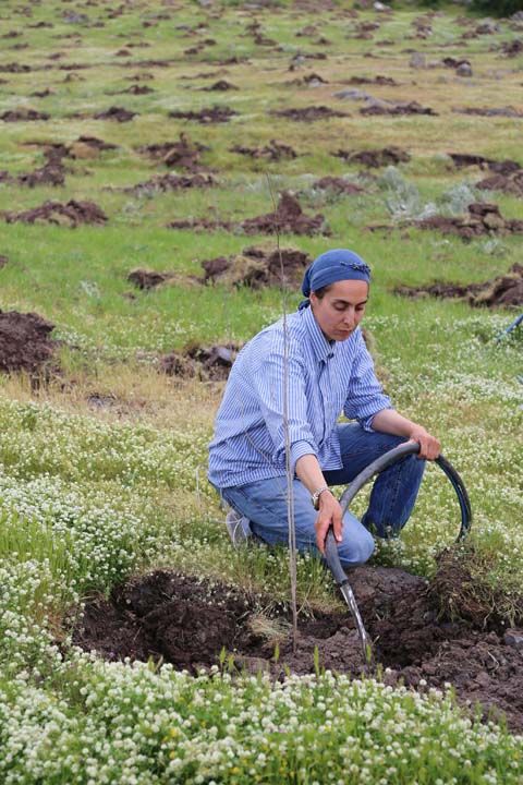 Kurduklar bahe hakknda bilgi veren Kankotan, 'Buras yaklak 120 dnm bir arazi. 15 bin dut fidan var. u anda fidanlar asz...      