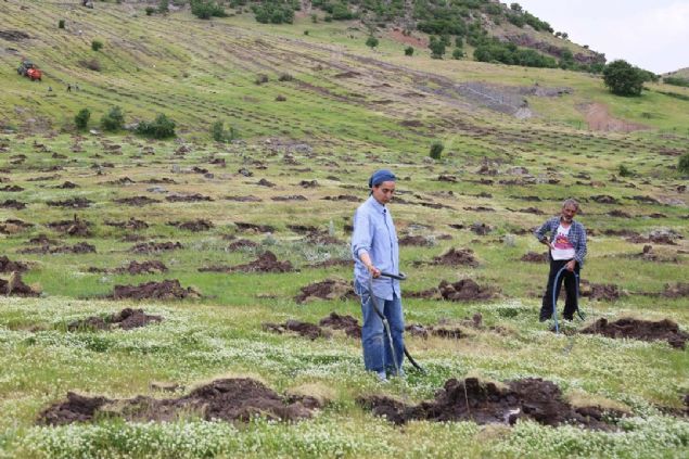 Bu zamana kadar Trkiye'nin en byk bahesi Manisa'nn Grdes ilesindeydi. Ancak bundan sonra Hozat Trkiye'nin en byk bahesine sahip ile diyeceiz' diyerek szlerini tamamlad.  <br><br>  (HA)      