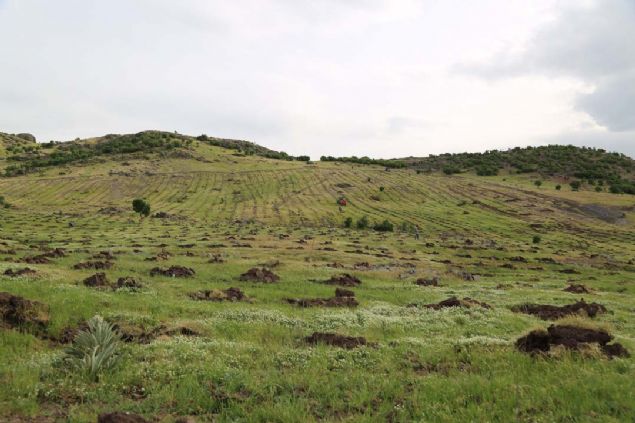 'Trkiye'nin en byk dut bahesini kurduk'  <br><br>  lede oluturulan ipek bcei retim dut bahesi hakknda da konuan Kaymakam am,  