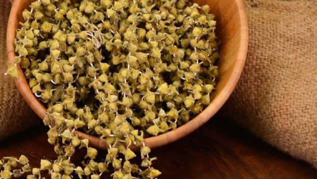 -Vcutta kolesterol dengeleyici zellik tayor.   