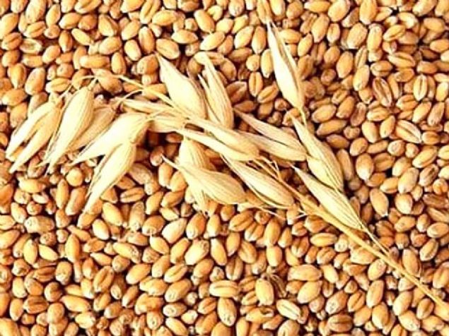 ARPA  <br><br>  Arpa kalp salnz iin en iyi yiyeceklerden biri olabilir...              