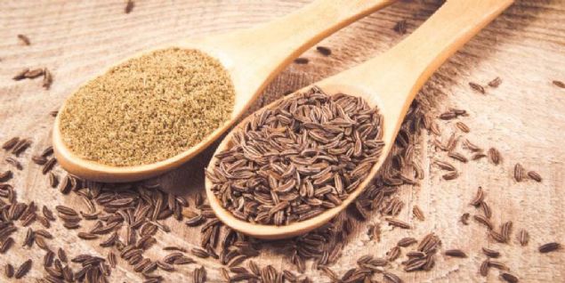 Ar kilolu ve obez kadnlarla yaplan bir aratrmada, gnde yarm ay ka kimyon tketen deneklerin kt kolesterol ve trigliserit seviyelerinde d, iyi kolesterol seviyelerinde ise art grlm.                                   