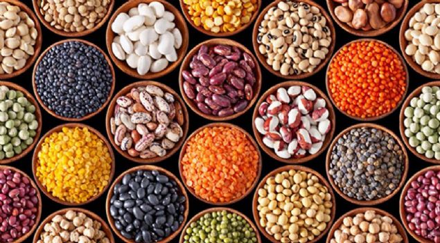 FASULYE  <br><br>  Fasulye trleri dier btn bitkilerden daha fazla protein ierir. Ayn zamanda kalp dostu ve stres dman B vitamini, demir ve kalsiyum kaynaklardr...                   