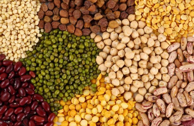 stelik yaplarndaki lif de barsaklarnzn dzgn almasna ve boalmasna yardmc olur.                        