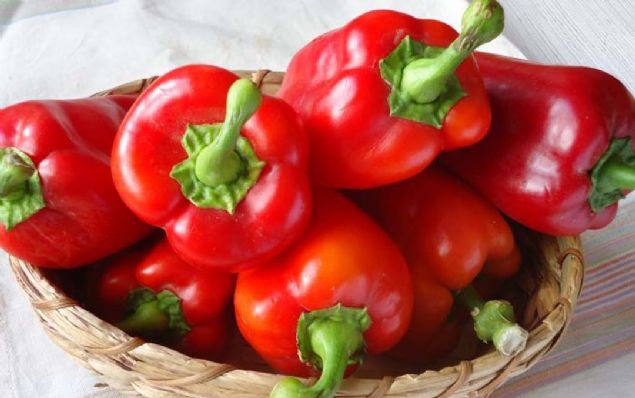 KIRMIZI DOLMALIK BBER  <br><br>  Krmz biberler de domates gibi birer likopen deposu. Bu madde ne yazk ki yeil biberlerde yok...                  