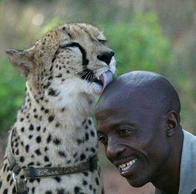 Sosyal medya kullanclar tarafndan en ok beenilen ve paylalan fotoraflar sizler iin derledik...   