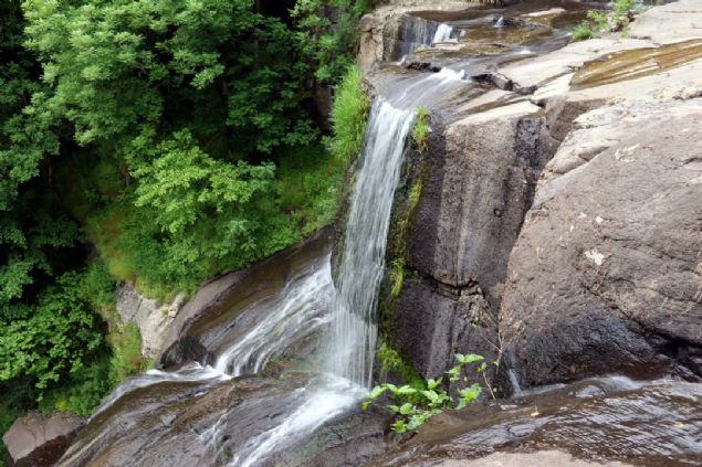 Samsun'unaramba ilesindeki Kabaceviz elaleleri, doaseverlerin ilgisini ekiyor. 