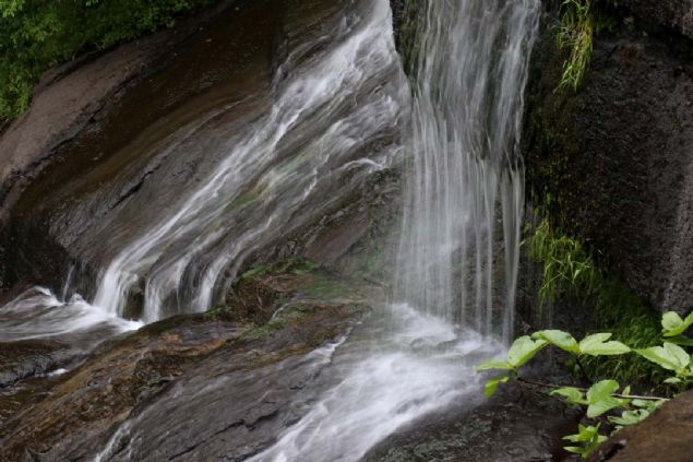 Karadeniz Turistik letmecileri Dernei Bakan Murat Tokta, elalelerin zellikle fotoraf tutkunlar ve doa yryleriiin ekici bir yer olduunu dile getirdi.  