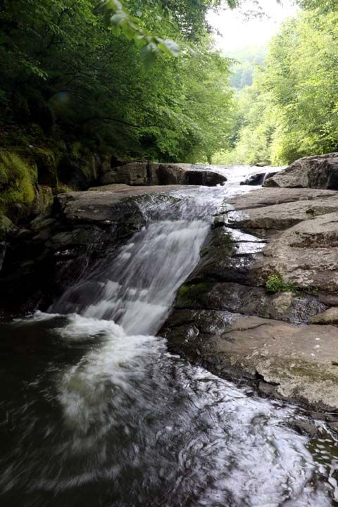 Yaplacak ufak tefek dzenlemeler ile elalenin Trkiye'nin gndemine gelebileceini dnyoruz' diye konutu. 
