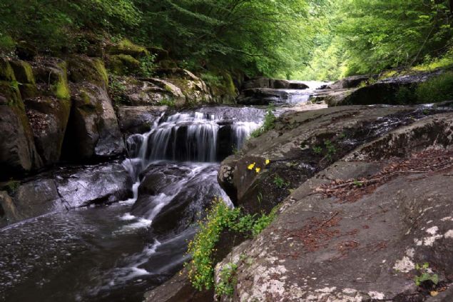 Fotoraf tutkunlarnn sk sk buray ziyaret etmesi ve ekilen fotoraflarn sosyal medyaya yklenmesi, blgenin tannmas konusunda ok etkili oldu' dedi. 