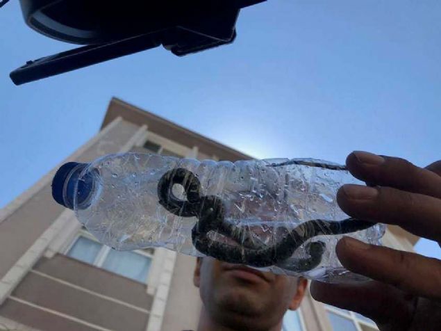 Bir apartman sakini ise, 'Yeilliklerden geliyor. 80 yandaym kalbim durdu korkudan. Belediyeden rica ediyorum ltfen buralarn temizlesinler' diye konutu. 