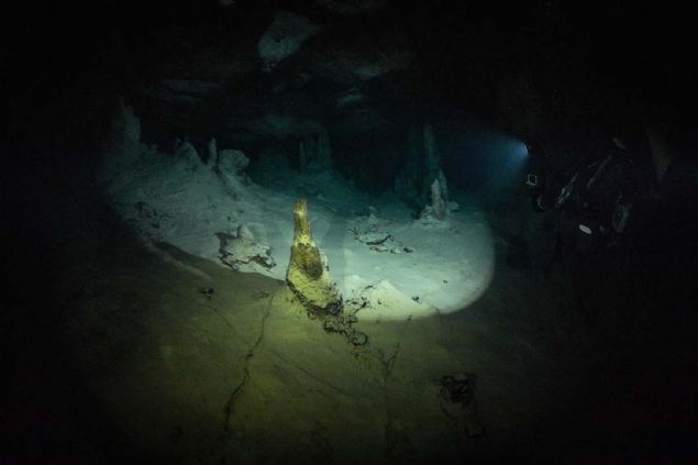 Bu tr keiflerin yaplmasnn, blgenin su alt turizminin gelimesine katk saladn ve dal merkezi iin blge halk iin ek gelir kaps sunduunu belirten de,   