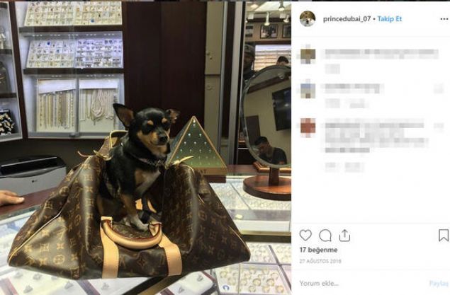 Onlarca insan, yatrm yapaca inancyla sahte prensin banka hesaplarna para gnderdi. Gignac ise bunlarla yatrm yapmak yerine paray tasarm kyafetlere, yatlara ve zel jetlere harcad.        